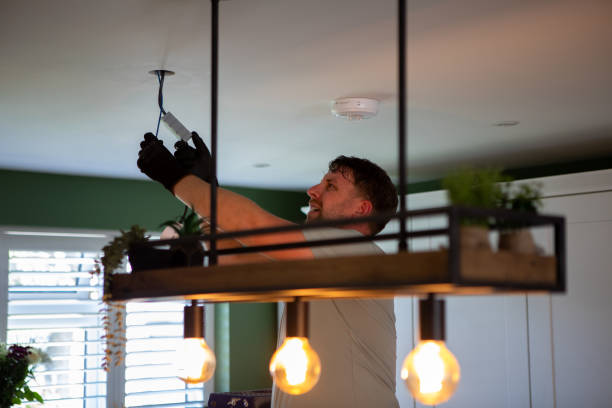 Best Electric Panel Repair  in Claremont, NC
